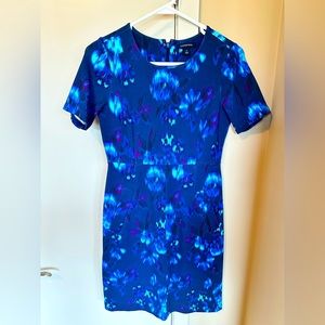 Lands End blue floral dress size 4